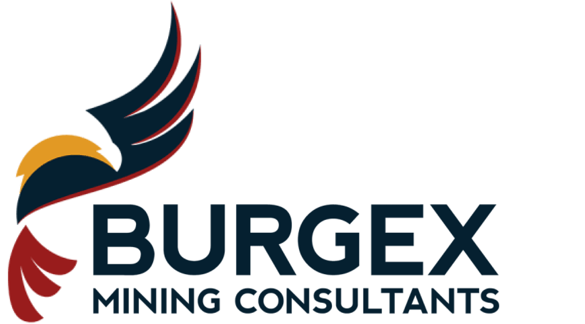 Burgex Mining Consultants